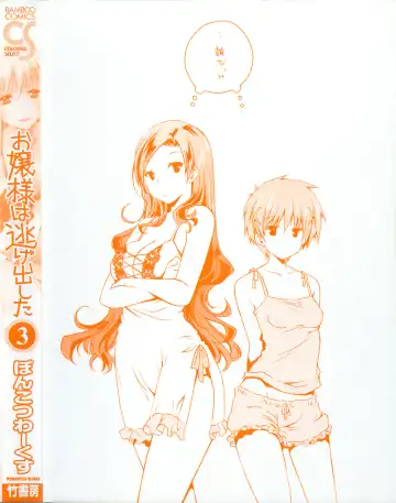 [Ponkotsu Works] Ojousama wa Nigedashita 3 Fhentai - Page 202