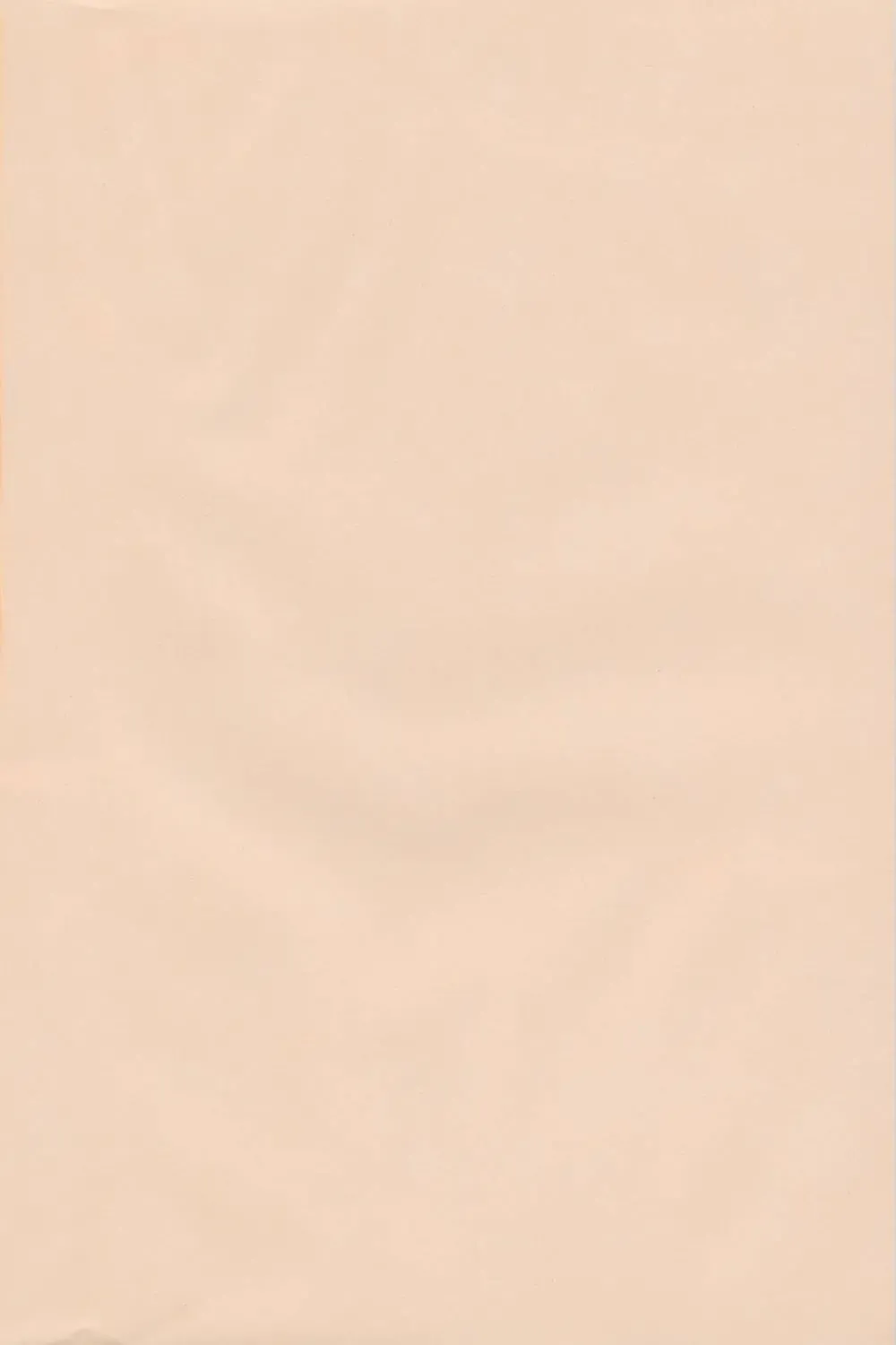 [Waka] Aaaa Asuka Fhentai - Page 3