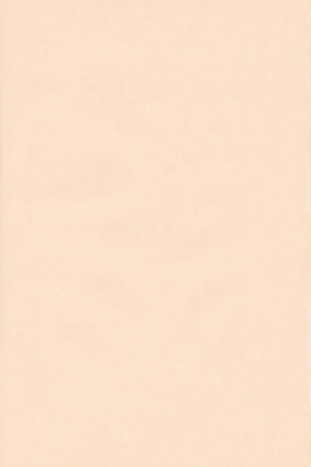 [Waka] Aaaa Asuka Fhentai - Page 44