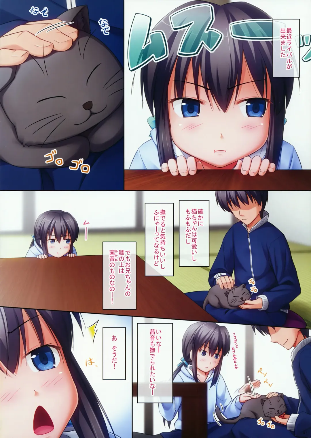 [Ogata - Ogataaz] _PS Vol.10 Fhentai - Page 2