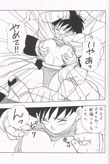 [Shouji Haruko] Y Fhentai - Page 18