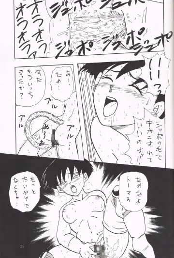 [Shouji Haruko] Y Fhentai - Page 24