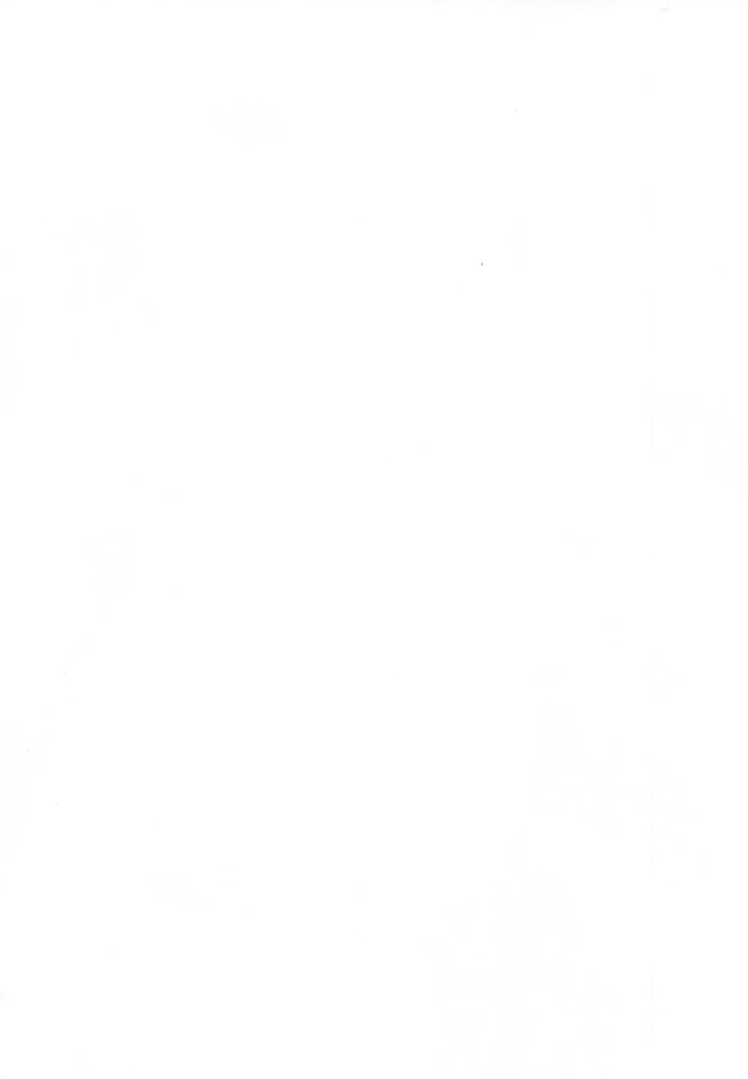 [Solopipb] Shiragasane Fhentai - Page 37