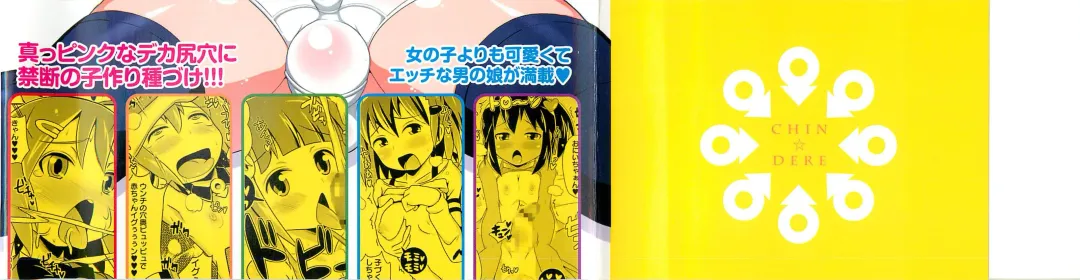 [Chinzurena] Chin Dere Fhentai - Page 205