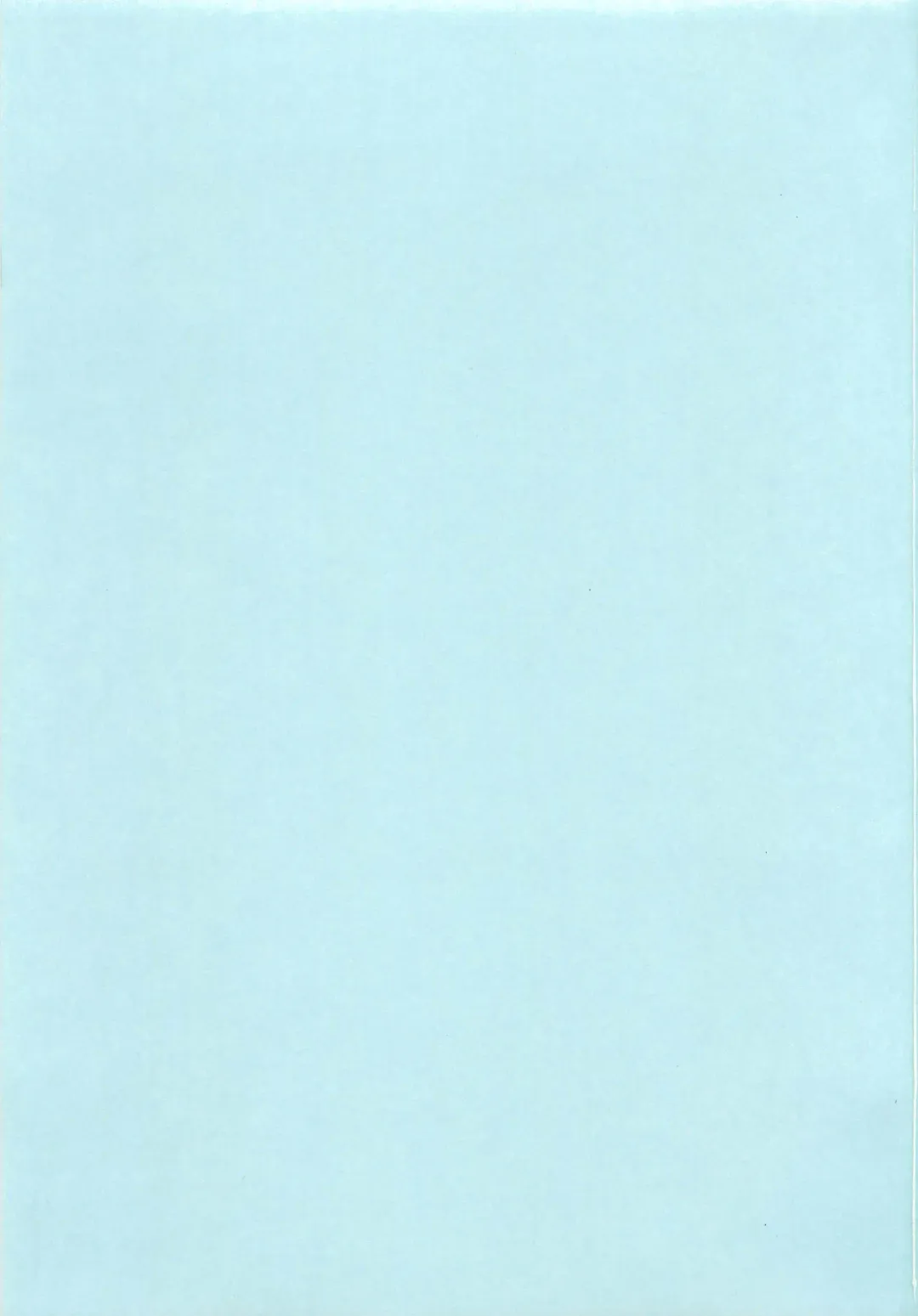 [Chinzurena] Chin Dere Fhentai - Page 4