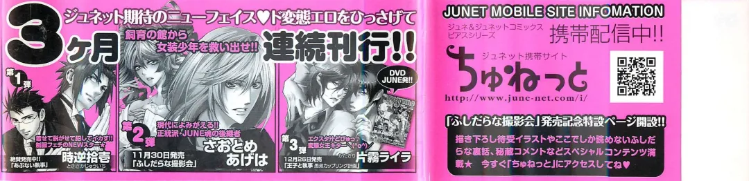 [Saotome Ageha] Fushidarana Satsueikai Fhentai - Page 218