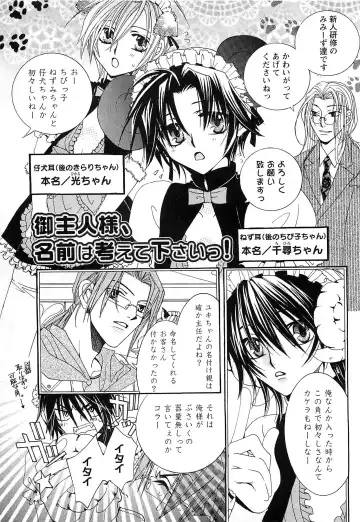 [Kyouya Ayumi] Goshujin-sama, Mofumofu Shite Kudasai! Fhentai - Page 184