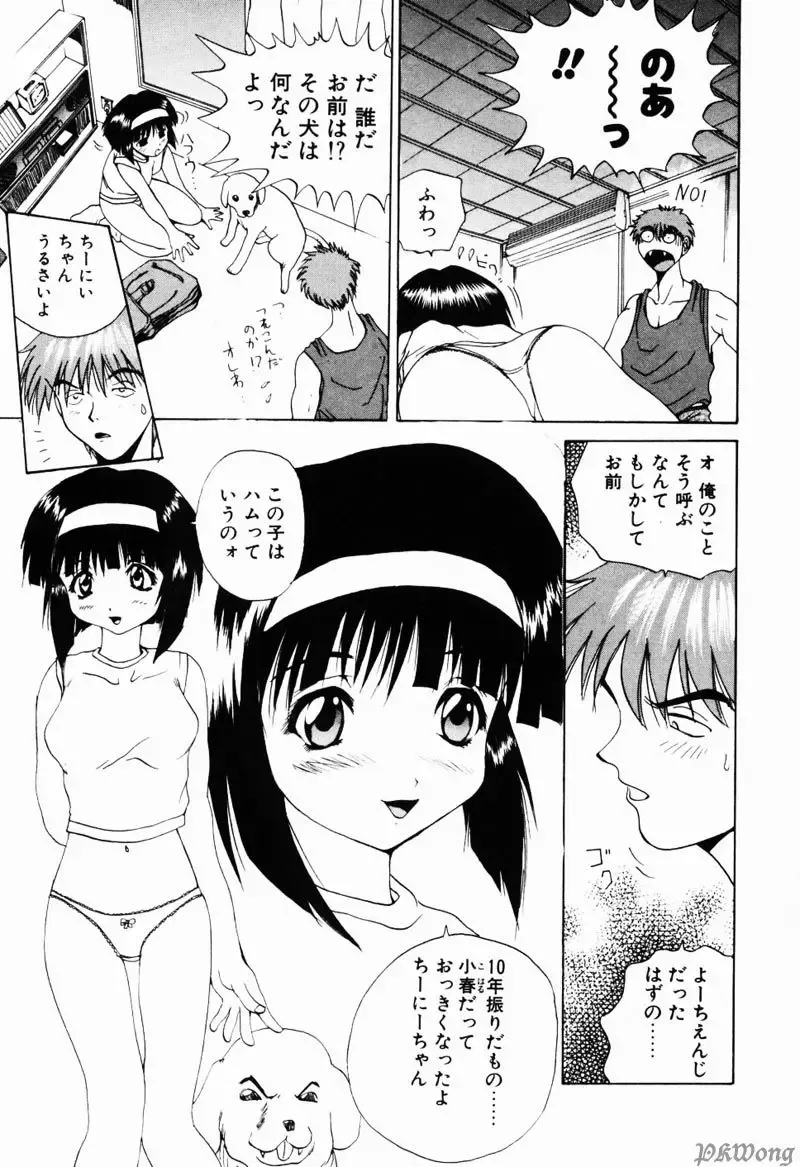 [Wakamiya Santa] Rain Story Fhentai - Page 142