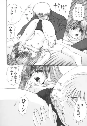 [Wakamiya Santa] Etsugyaku Kazoku Fhentai - Page 76