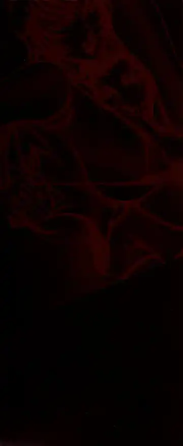 [Azuki Kurenai] BLACK IMPACT - Azuki Kurenai Gengashuu & Fan Book Fhentai - Page 3