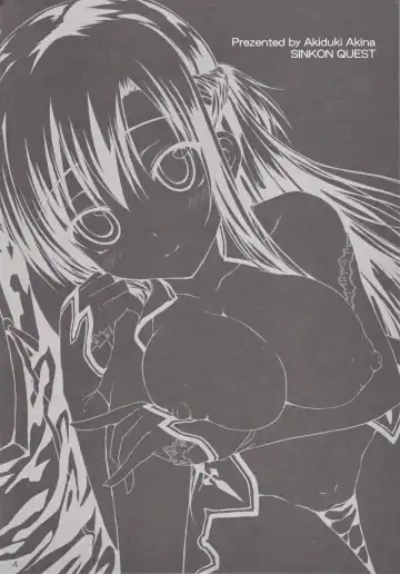 [Akiduki Akina] Shinkon Quest Fhentai - Page 3
