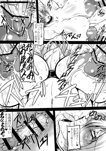 [Bash] Nipplefar Sheol Fhentai - Page 17