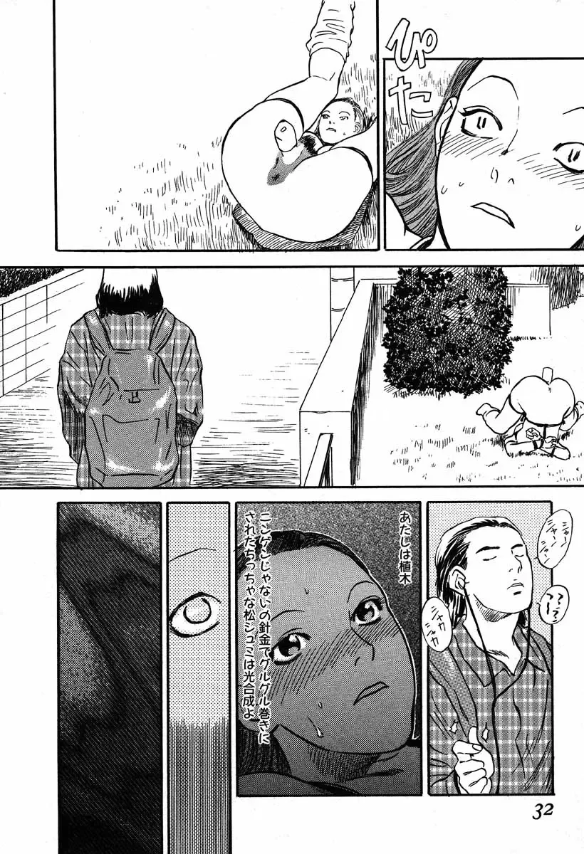 [Tenjiku Rounin] WILD FLOWER Fhentai - Page 30