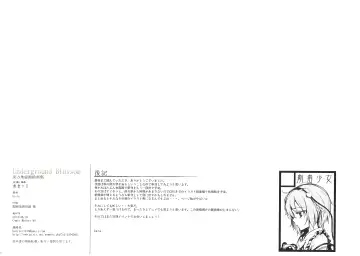 [Ke-ta] Underground Blossom Fhentai - Page 17