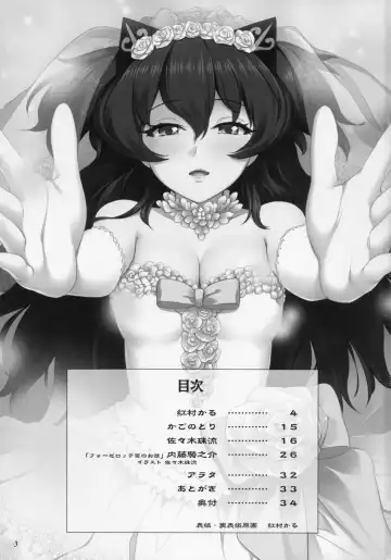 [Sasaki Tamaru] Softhouse Chara no Kuseni BUNNYBLACK 3 Fhentai - Page 3