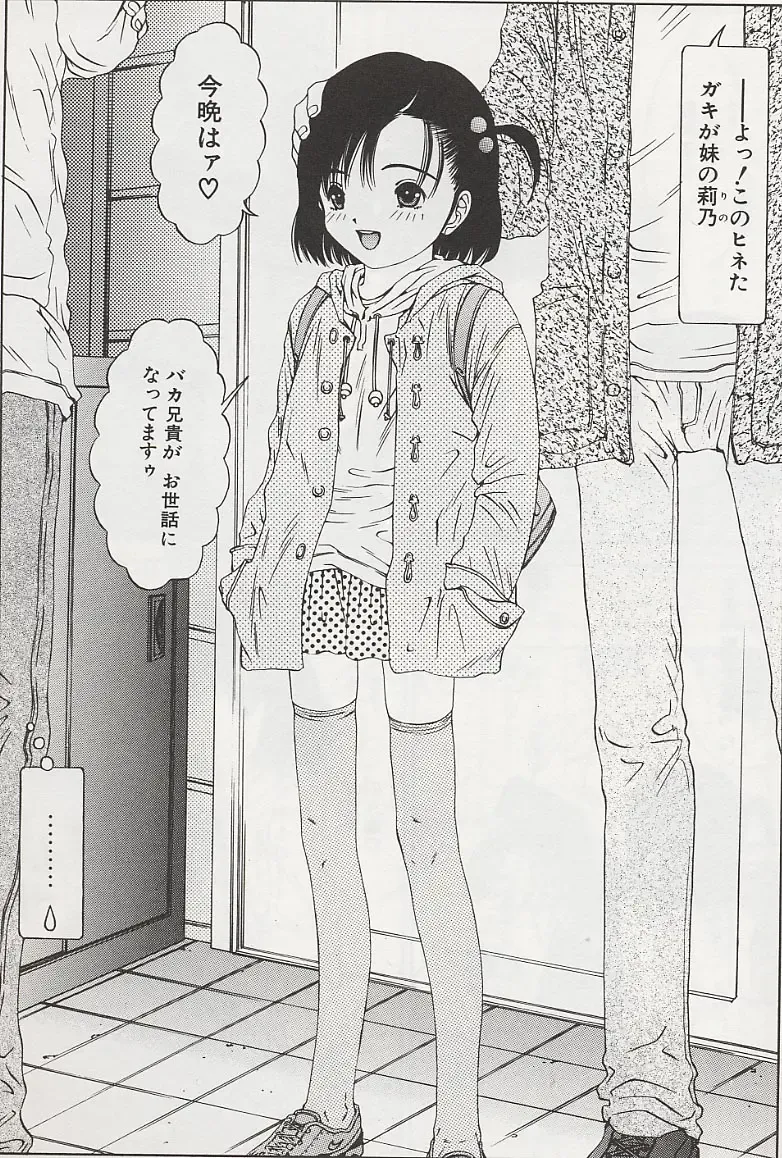 [Salad] Hecchara Fhentai - Page 14