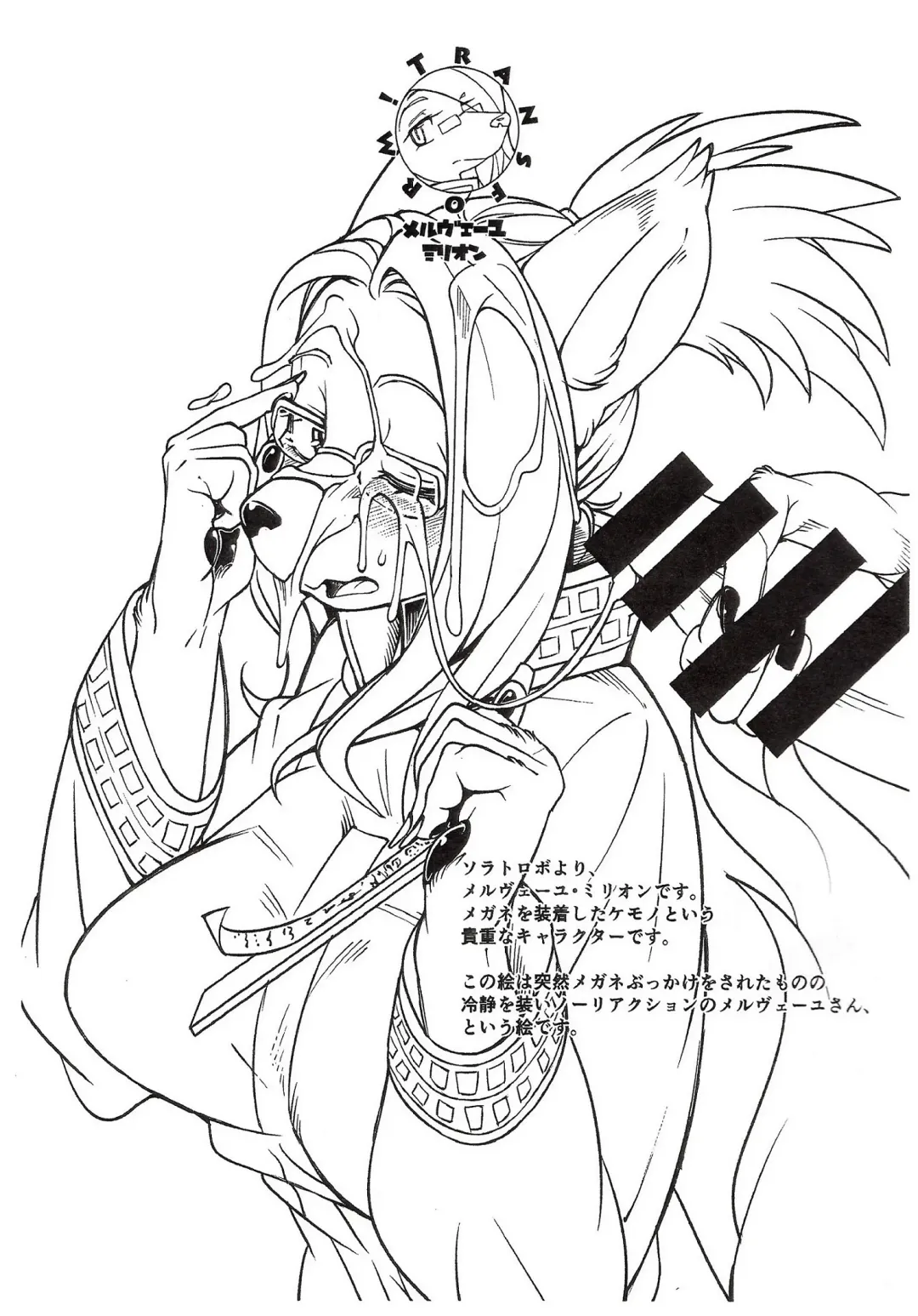 [Sindoll] mesukemo Catalog Transform Fhentai - Page 3