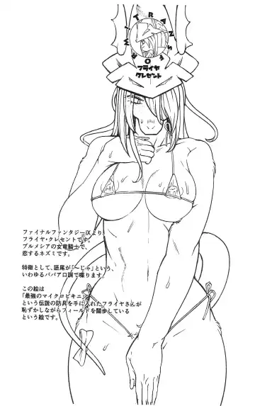 [Sindoll] mesukemo Catalog Transform Fhentai - Page 7