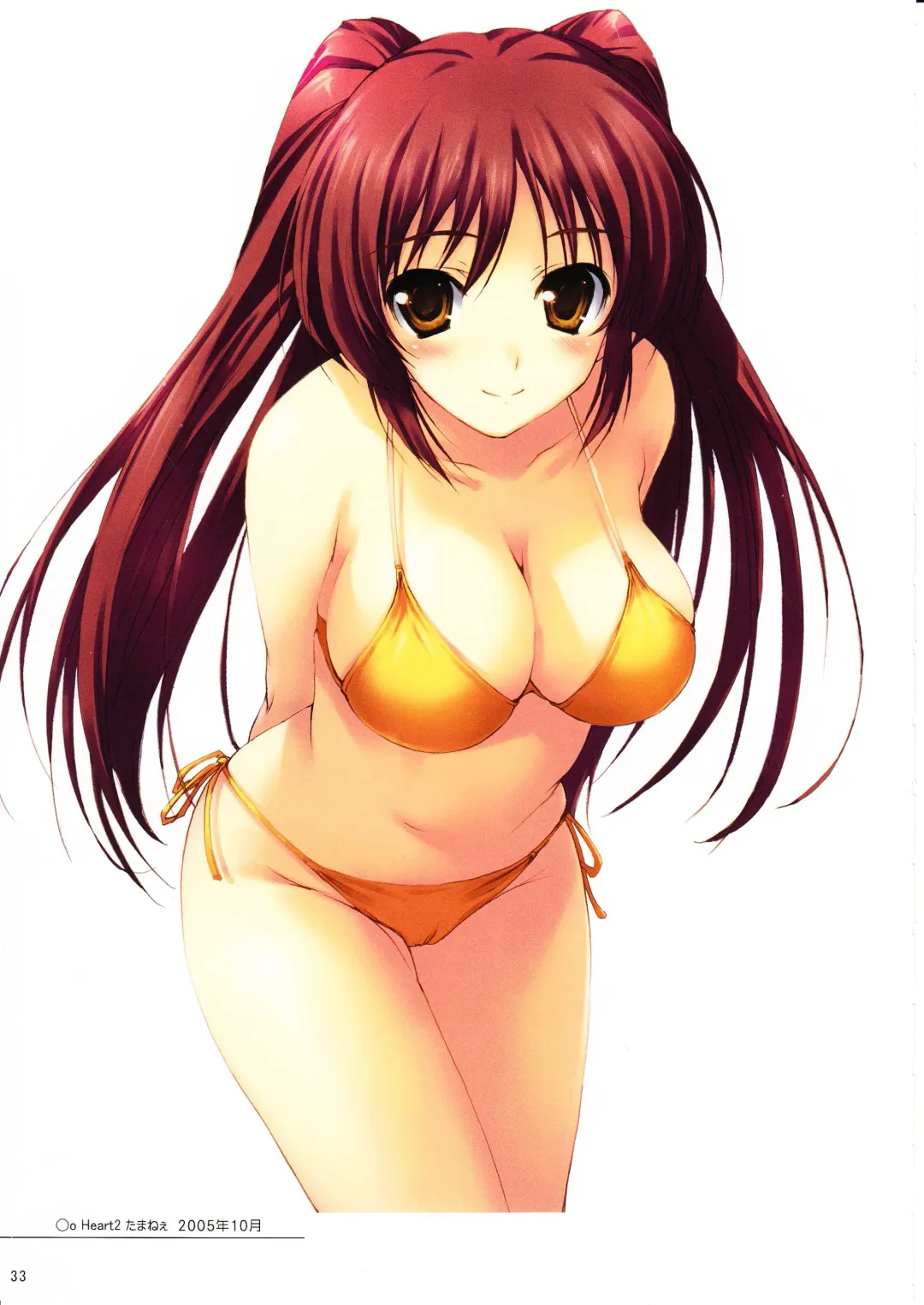 [Tomose Shunsaku] Tomose Shunsaku Jisen Illust Shuu Fhentai - Page 32