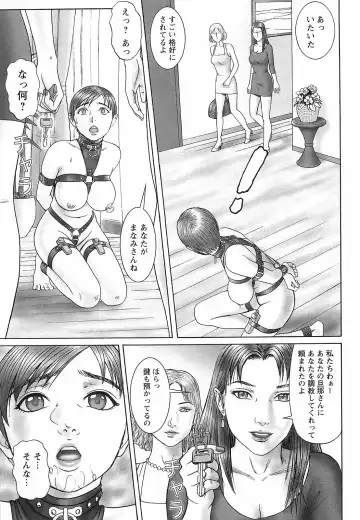 [Cobolt] Doreizuma - The Slave Wife Fhentai - Page 72