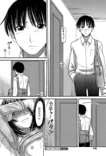 [Tanaka-ex] Sister Price Fhentai - Page 176