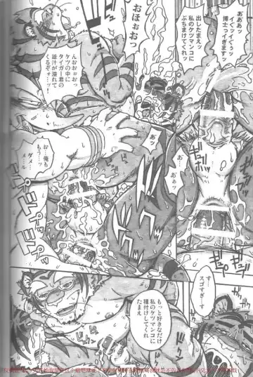 [Gamma] Choujuu Gasshin Build Tiger 11 Fhentai - Page 19