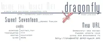 [Conami Shoko - Tojo Asami] Sweet Seventeen Fhentai - Page 34