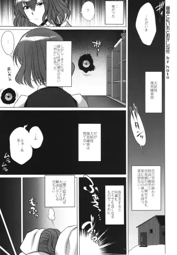 [Bbsacon - Hato] Touhou Inmonka Fhentai - Page 19