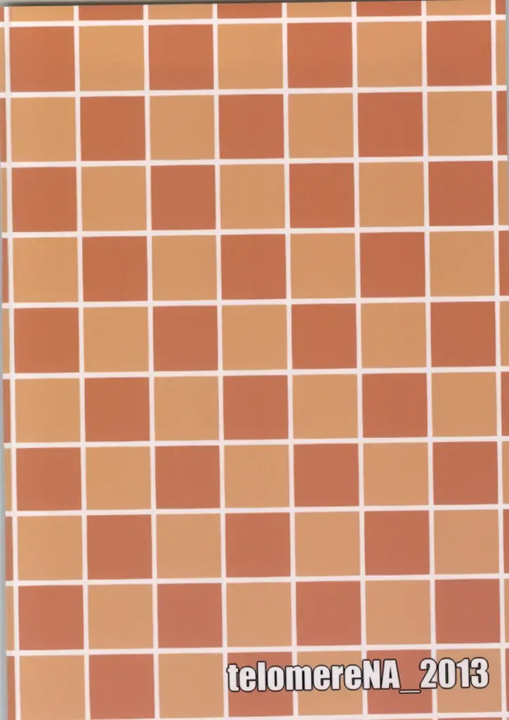 [Gustav] Yume Miterun Desu ka Producer-san? Fhentai - Page 17