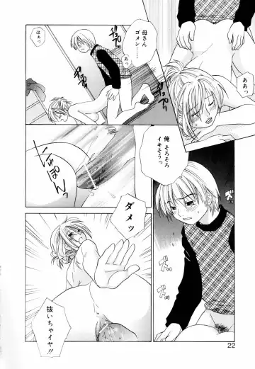 [Amanatsu Makoto] Mix Ponch Fhentai - Page 20