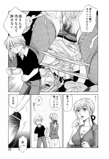 [Amanatsu Makoto] Mix Ponch Fhentai - Page 31