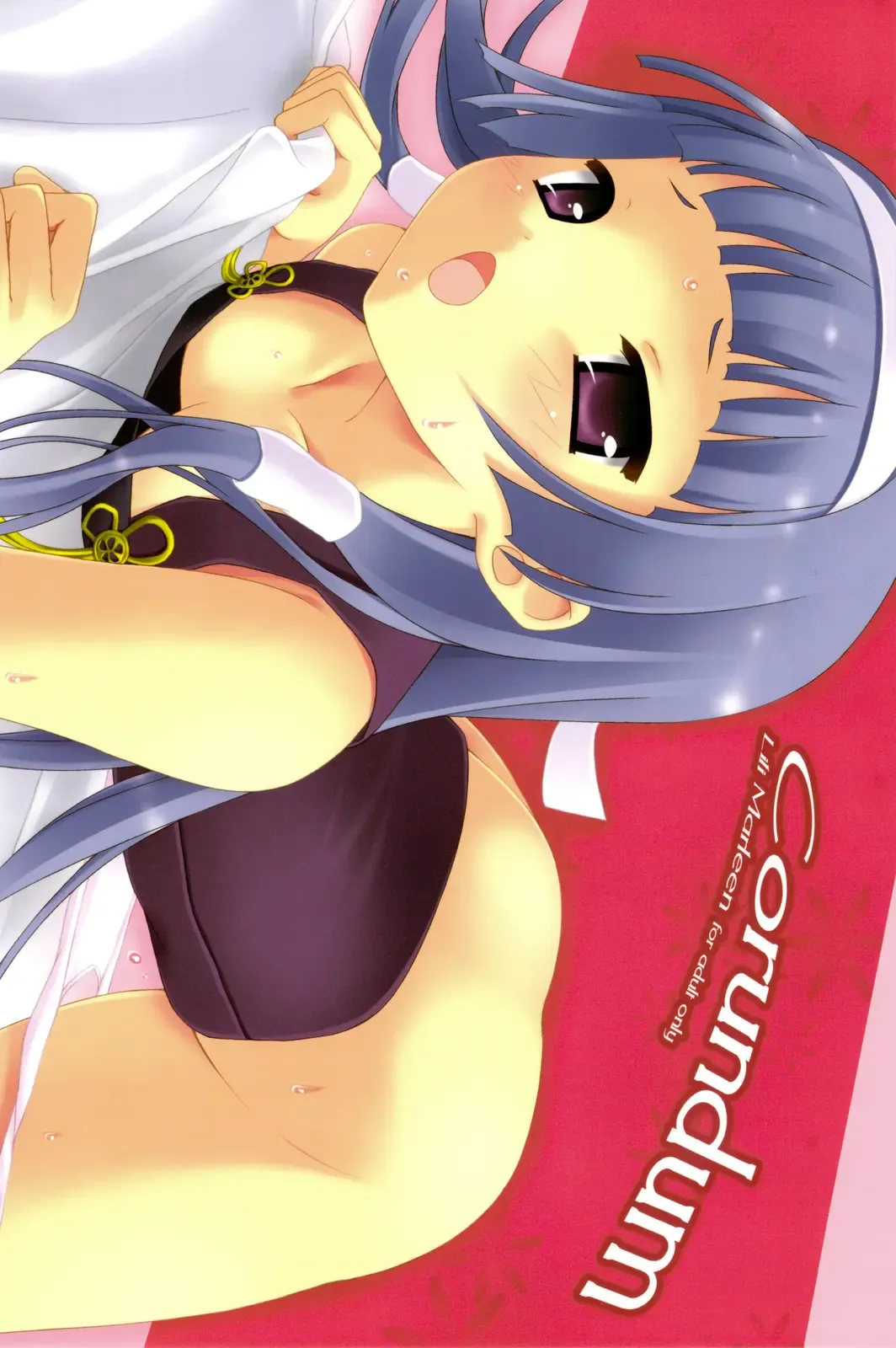 [Kinohara Hikaru] Corundum Fhentai - Page 1