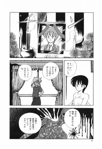 [Araki Akira] Marina Hakusho Fhentai - Page 23