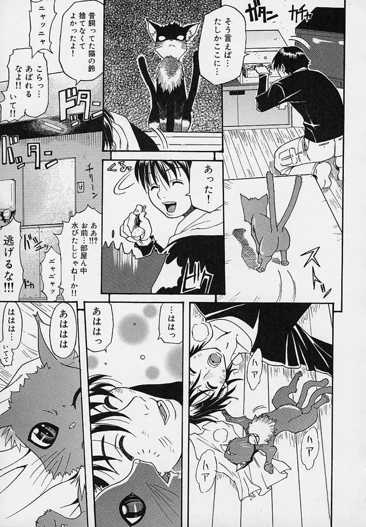 [Amatarou] Creer Desir Fhentai - Page 43