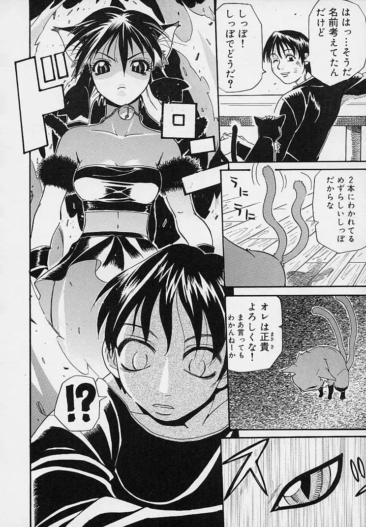 [Amatarou] Creer Desir Fhentai - Page 44