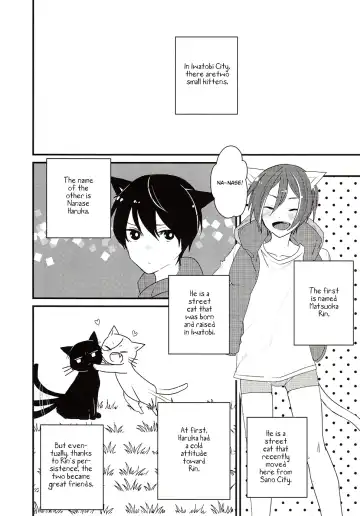 [Ayahara] Himitsu no Nyanko-chan | A Secret Between Kitties Fhentai - Page 3