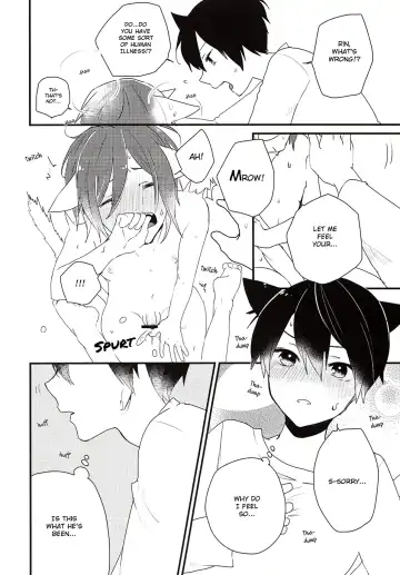 [Ayahara] Himitsu no Nyanko-chan | A Secret Between Kitties Fhentai - Page 6