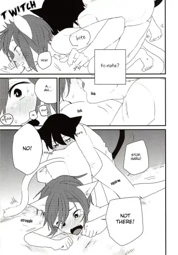 [Ayahara] Himitsu no Nyanko-chan | A Secret Between Kitties Fhentai - Page 9