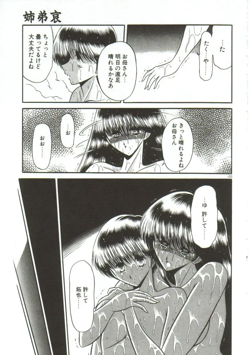 [Horikawa Gorou] Aigan Ryoujoku Sho Fhentai - Page 101