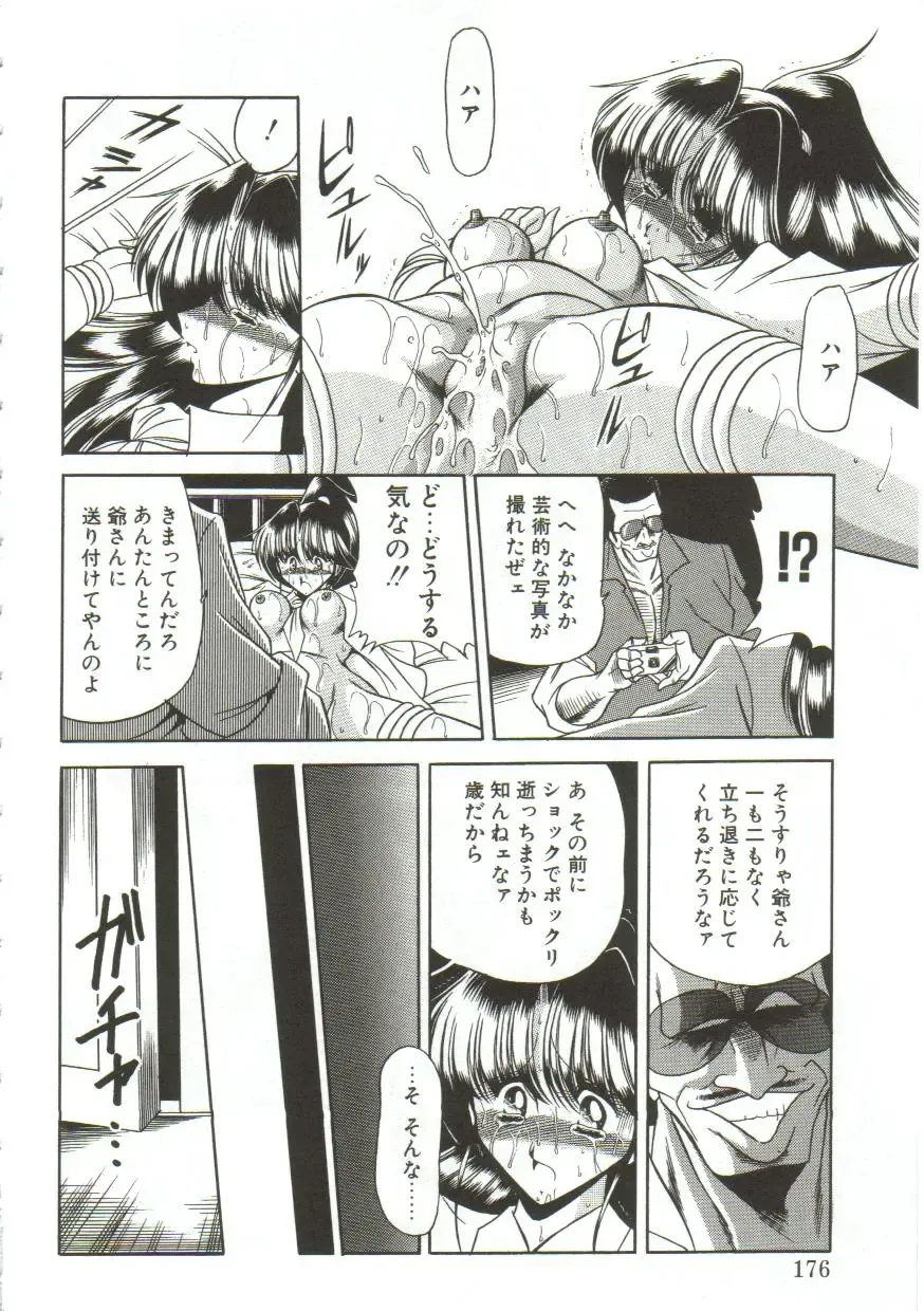 [Horikawa Gorou] Aigan Ryoujoku Sho Fhentai - Page 174