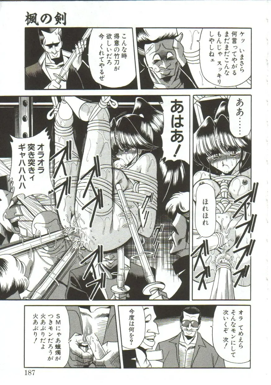 [Horikawa Gorou] Aigan Ryoujoku Sho Fhentai - Page 185