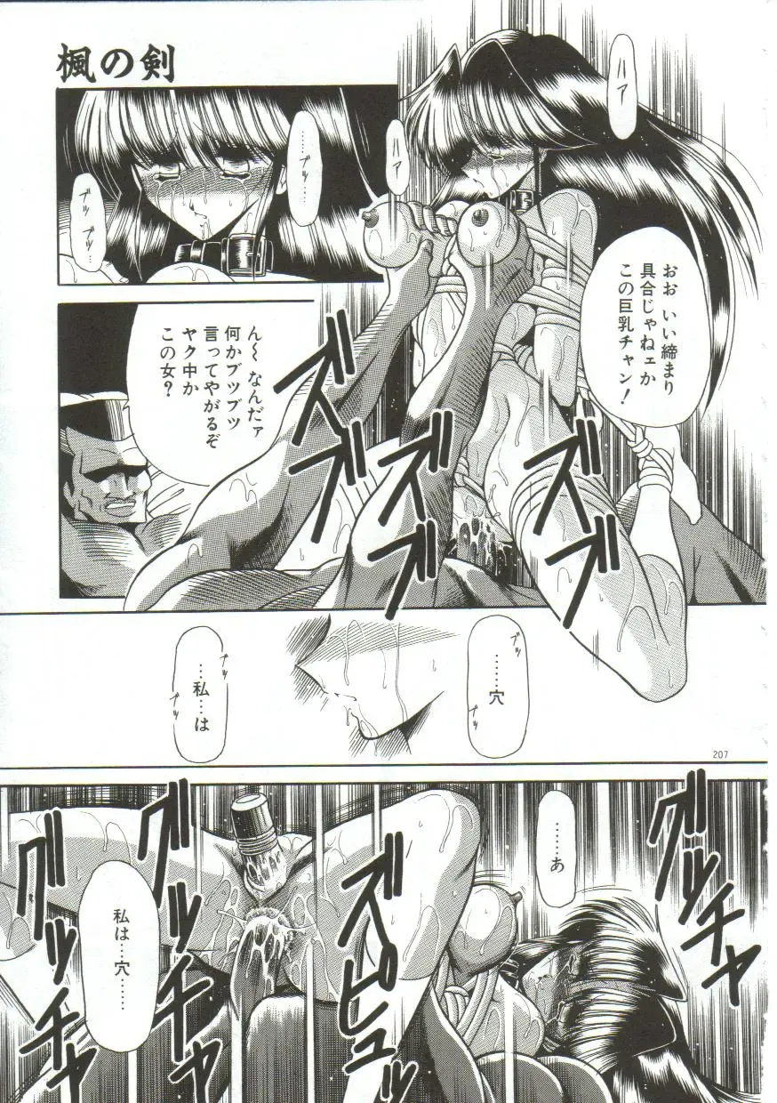 [Horikawa Gorou] Aigan Ryoujoku Sho Fhentai - Page 205