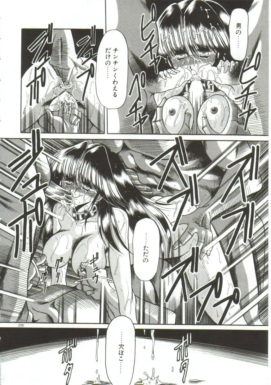 [Horikawa Gorou] Aigan Ryoujoku Sho Fhentai - Page 206