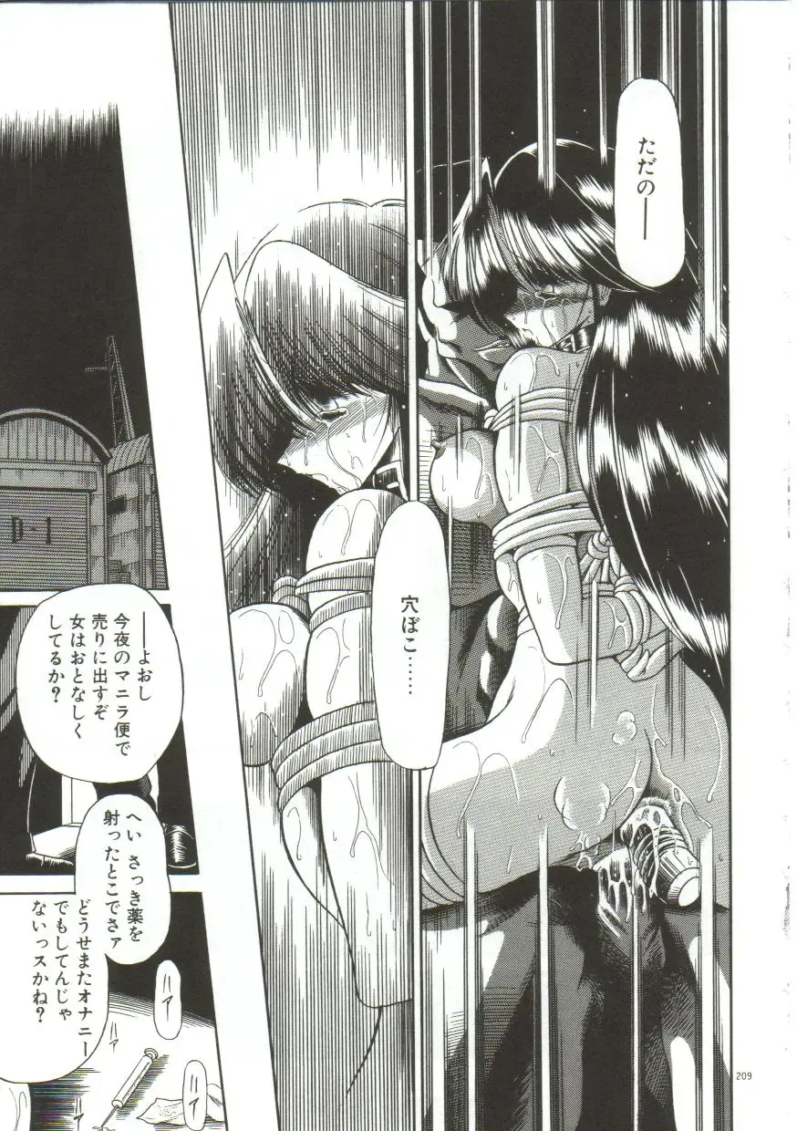[Horikawa Gorou] Aigan Ryoujoku Sho Fhentai - Page 207