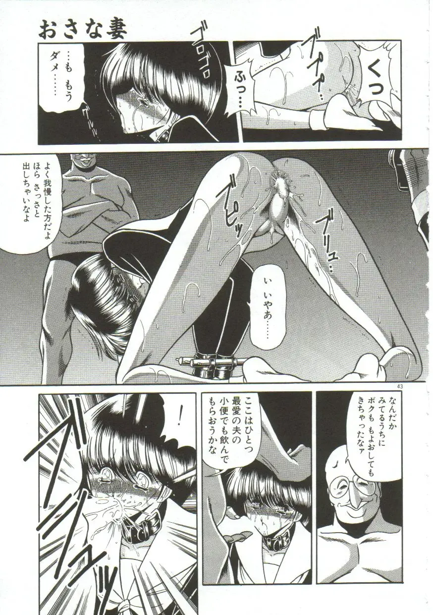 [Horikawa Gorou] Aigan Ryoujoku Sho Fhentai - Page 41