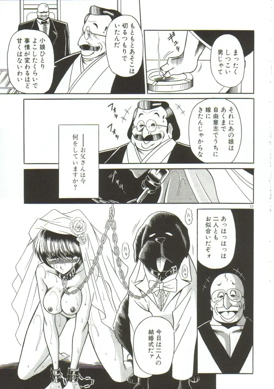 [Horikawa Gorou] Aigan Ryoujoku Sho Fhentai - Page 51