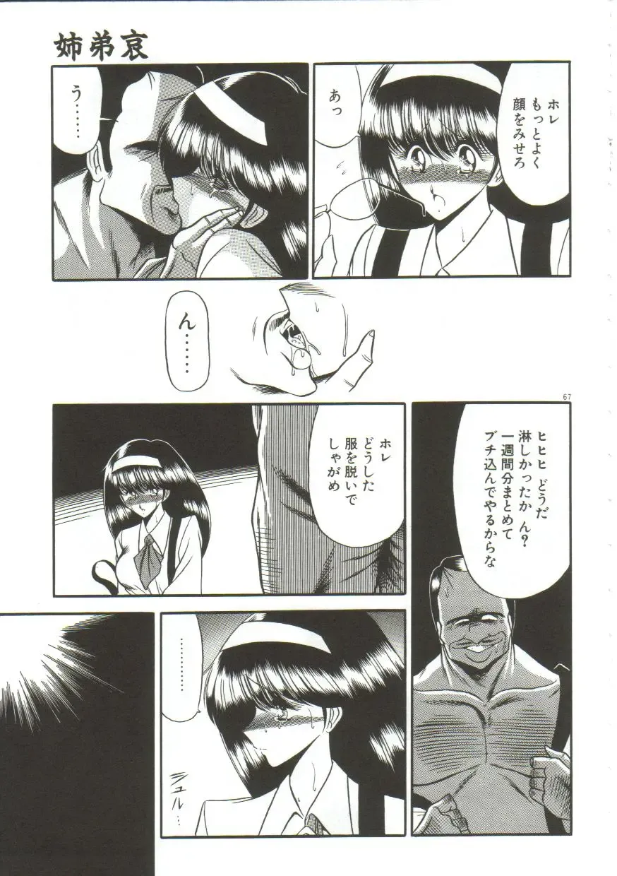 [Horikawa Gorou] Aigan Ryoujoku Sho Fhentai - Page 65
