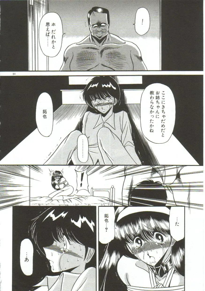 [Horikawa Gorou] Aigan Ryoujoku Sho Fhentai - Page 82