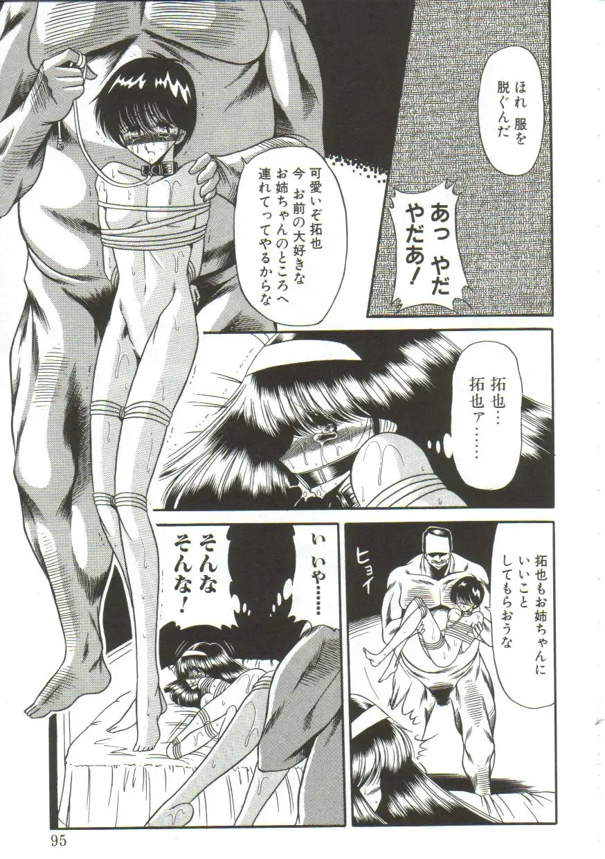 [Horikawa Gorou] Aigan Ryoujoku Sho Fhentai - Page 93