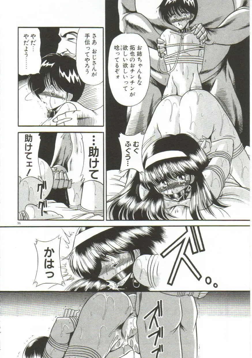 [Horikawa Gorou] Aigan Ryoujoku Sho Fhentai - Page 94